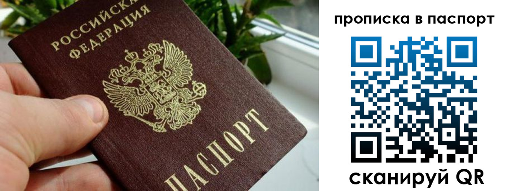 пропишу в квартире в Хадыженске